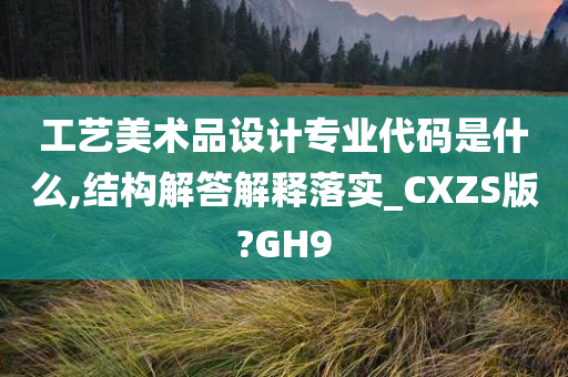 工艺美术品设计专业代码是什么,结构解答解释落实_CXZS版?GH9