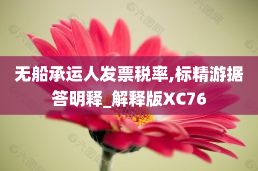 无船承运人发票税率,标精游据答明释_解释版XC76