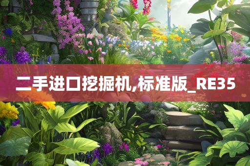 二手进口挖掘机,标准版_RE35