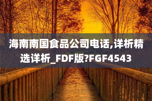 海南南国食品公司电话,详析精选详析_FDF版?FGF4543