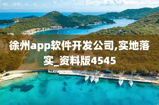 徐州app软件开发公司,实地落实_资料版4545