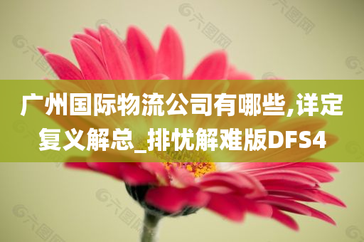 广州国际物流公司有哪些,详定复义解总_排忧解难版DFS4