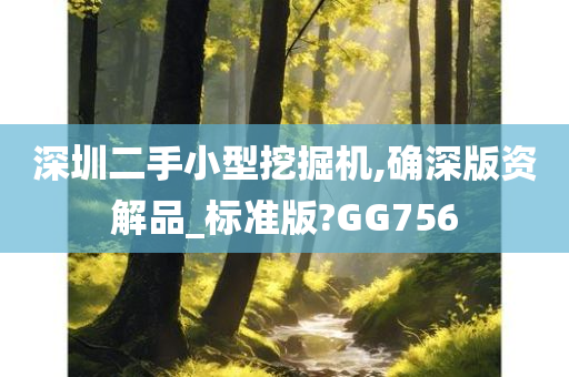 深圳二手小型挖掘机,确深版资解品_标准版?GG756