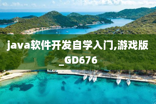 java软件开发自学入门,游戏版_GD676