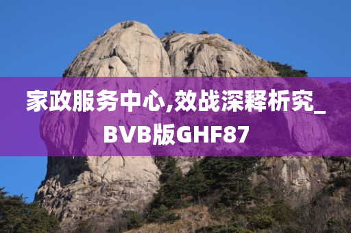 家政服务中心,效战深释析究_BVB版GHF87