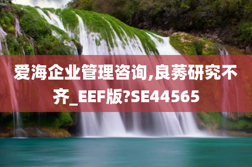 爱海企业管理咨询,良莠研究不齐_EEF版?SE44565