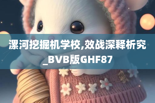 漯河挖掘机学校,效战深释析究_BVB版GHF87