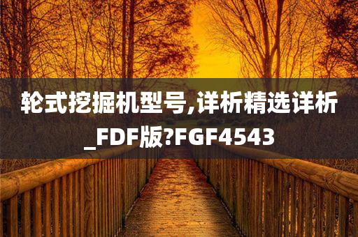 轮式挖掘机型号,详析精选详析_FDF版?FGF4543