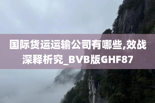 国际货运运输公司有哪些,效战深释析究_BVB版GHF87