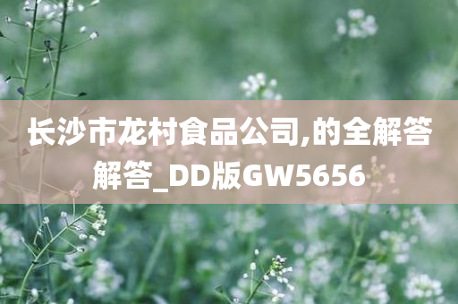 长沙市龙村食品公司,的全解答解答_DD版GW5656