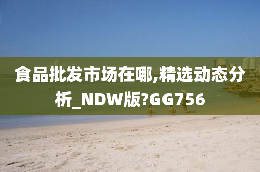 食品批发市场在哪,精选动态分析_NDW版?GG756