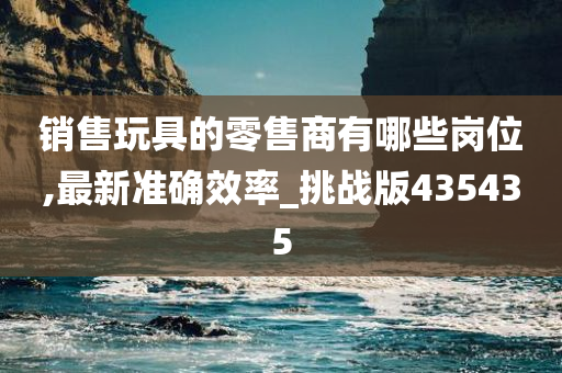 销售玩具的零售商有哪些岗位,最新准确效率_挑战版435435