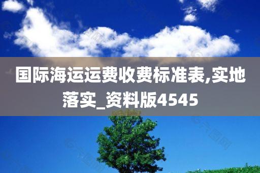 国际海运运费收费标准表,实地落实_资料版4545