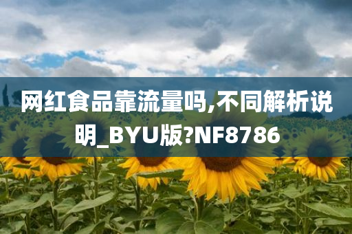 网红食品靠流量吗,不同解析说明_BYU版?NF8786