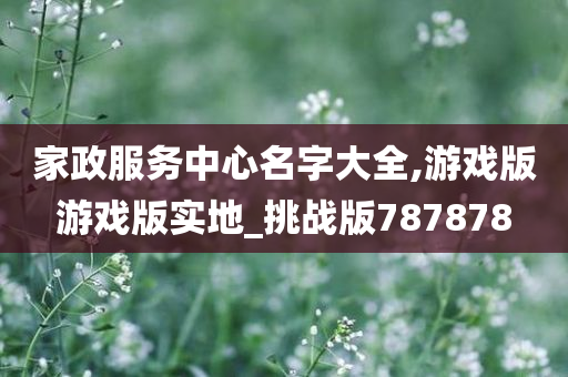 家政服务中心名字大全,游戏版游戏版实地_挑战版787878