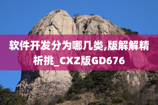 软件开发分为哪几类,版解解精析挑_CXZ版GD676