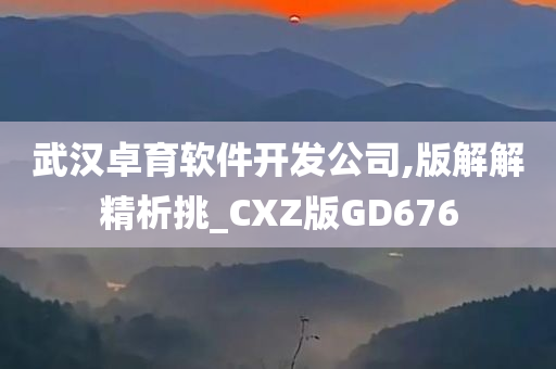 武汉卓育软件开发公司,版解解精析挑_CXZ版GD676