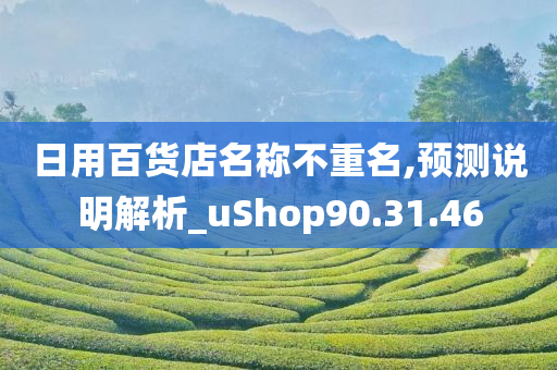 日用百货店名称不重名,预测说明解析_uShop90.31.46