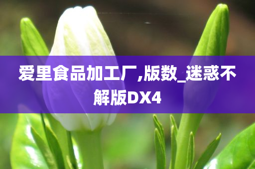 爱里食品加工厂,版数_迷惑不解版DX4