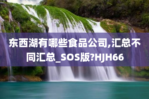 东西湖有哪些食品公司,汇总不同汇总_SOS版?HJH66