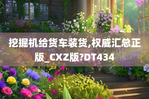 挖掘机给货车装货,权威汇总正版_CXZ版?DT434