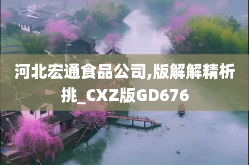 河北宏通食品公司,版解解精析挑_CXZ版GD676