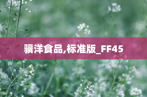 骥洋食品,标准版_FF45