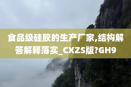 食品级硅胶的生产厂家,结构解答解释落实_CXZS版?GH9