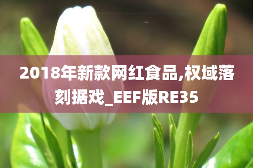 2018年新款网红食品,权域落刻据戏_EEF版RE35