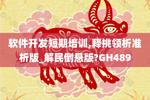 软件开发短期培训,释挑领析准析版_解民倒悬版?GH489