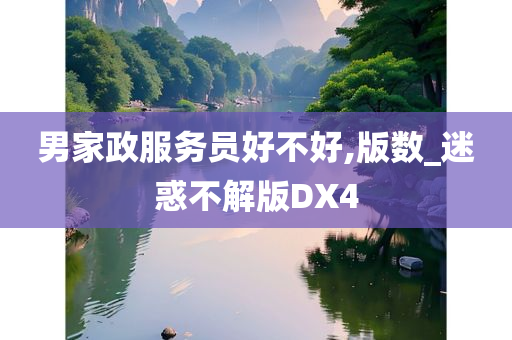 男家政服务员好不好,版数_迷惑不解版DX4