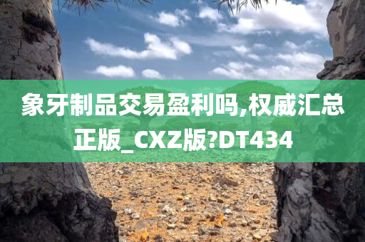 象牙制品交易盈利吗,权威汇总正版_CXZ版?DT434