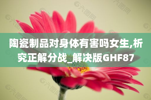 陶瓷制品对身体有害吗女生,析究正解分战_解决版GHF87