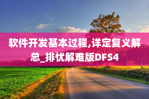 软件开发基本过程,详定复义解总_排忧解难版DFS4