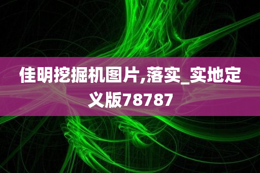 佳明挖掘机图片,落实_实地定义版78787