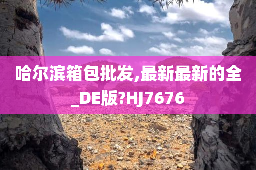 哈尔滨箱包批发,最新最新的全_DE版?HJ7676