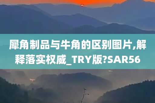 犀角制品与牛角的区别图片,解释落实权威_TRY版?SAR56