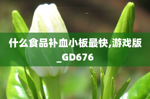 什么食品补血小板最快,游戏版_GD676