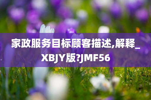 家政服务目标顾客描述,解释_XBJY版?JMF56