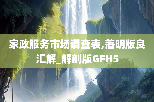 家政服务市场调查表,落明版良汇解_解剖版GFH5