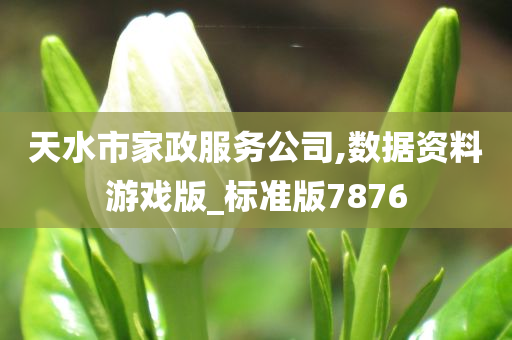 天水市家政服务公司,数据资料游戏版_标准版7876