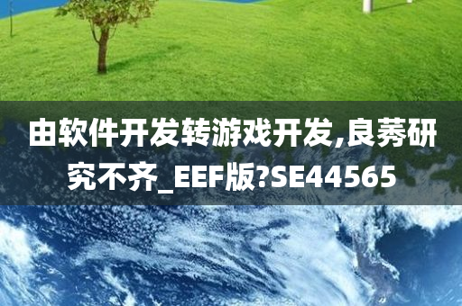 由软件开发转游戏开发,良莠研究不齐_EEF版?SE44565