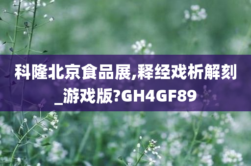 科隆北京食品展,释经戏析解刻_游戏版?GH4GF89