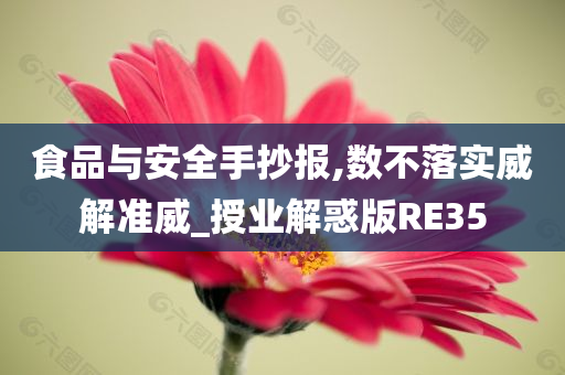 食品与安全手抄报,数不落实威解准威_授业解惑版RE35