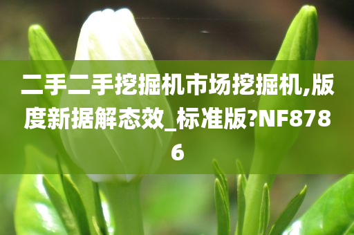 二手二手挖掘机市场挖掘机,版度新据解态效_标准版?NF8786