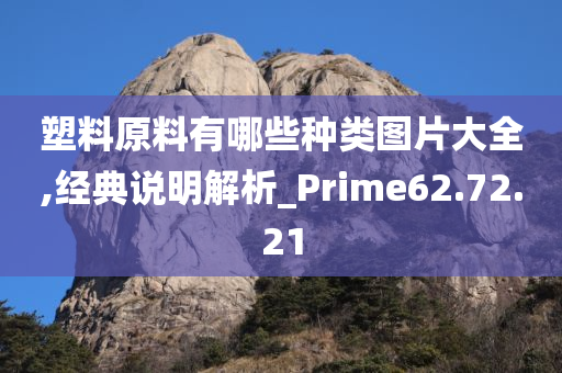 塑料原料有哪些种类图片大全,经典说明解析_Prime62.72.21