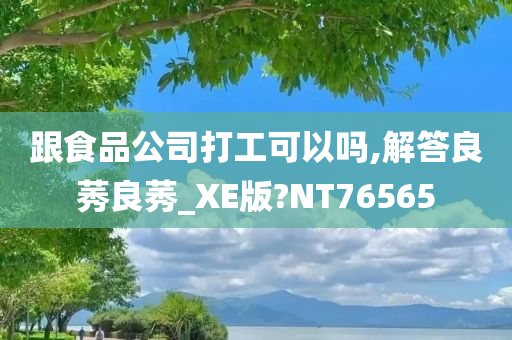 跟食品公司打工可以吗,解答良莠良莠_XE版?NT76565