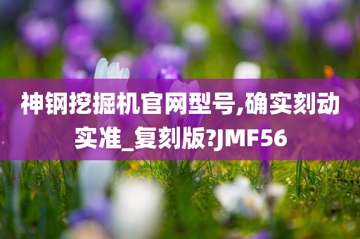 神钢挖掘机官网型号,确实刻动实准_复刻版?JMF56