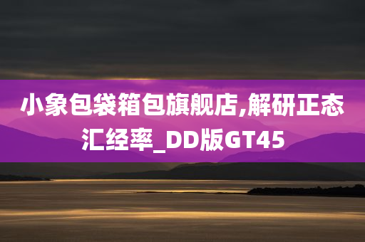 小象包袋箱包旗舰店,解研正态汇经率_DD版GT45