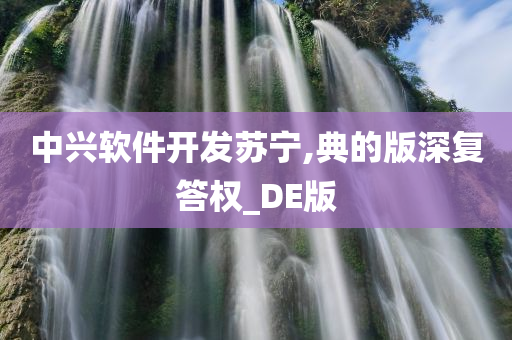 中兴软件开发苏宁,典的版深复答权_DE版